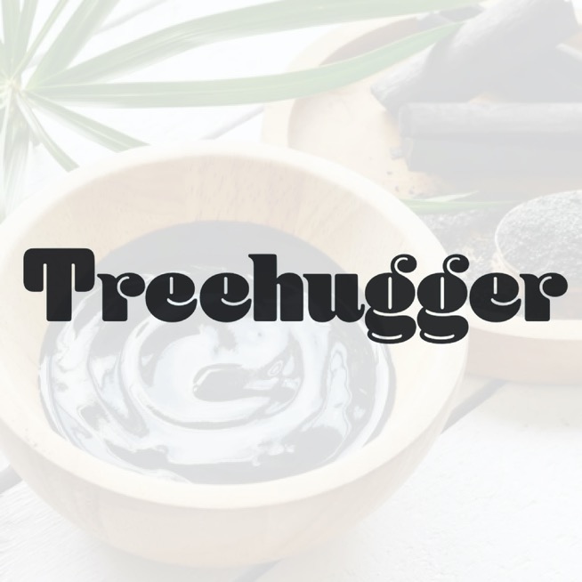 Treehugger by Graham Hill: Sustainable Bloggers